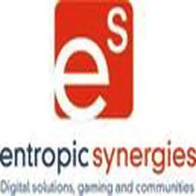 Entropic Synergies